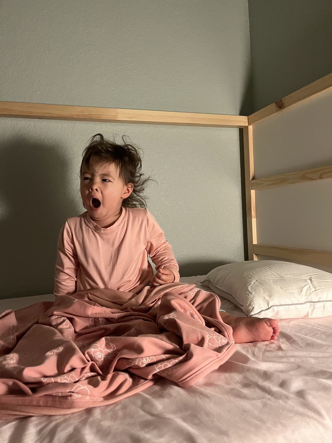 Customer photo review of Toddler Blanket, 4 Season® Merino Wool & Organic Cotton Blanket, 52.5" x 40", Succulent