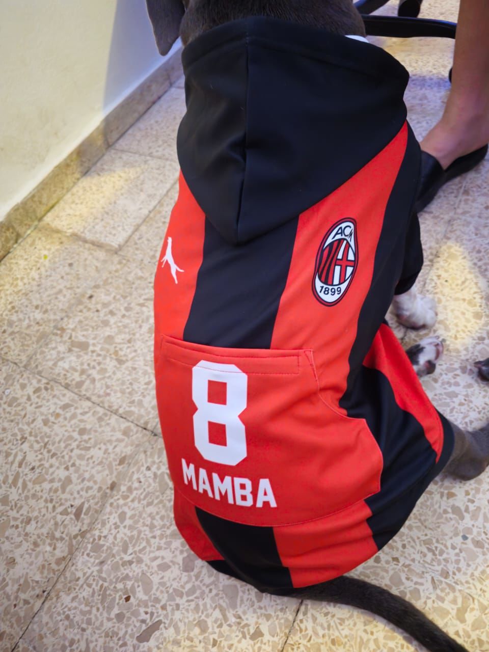 Customer photo review of AC Milan Dog Hoodie