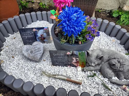 Customer photo review of Katzen Gedenktafel mit Foto & Spruch (UV- und wetterbeständig)