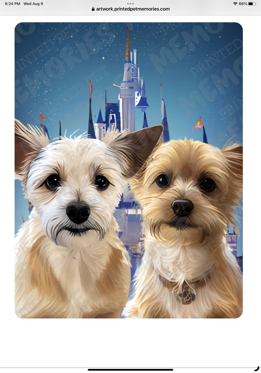 Customer photo review of Custom Pet Portrait