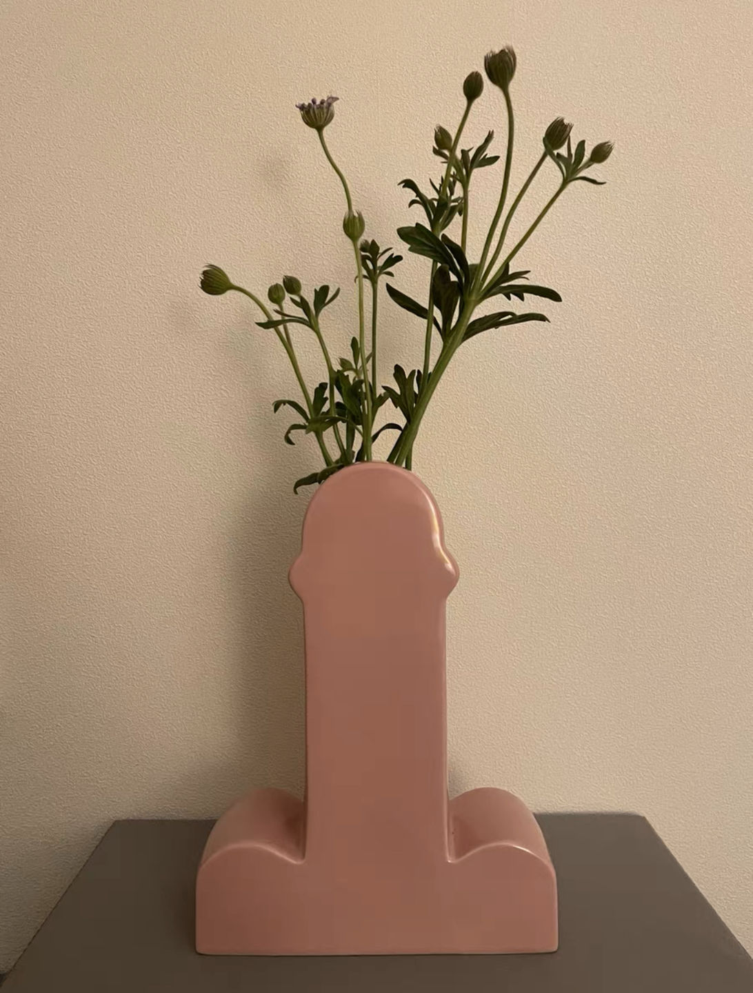 Customer photo review of Handmade Memphis Ceramic Dick Vase | Decorative & Unique Vases