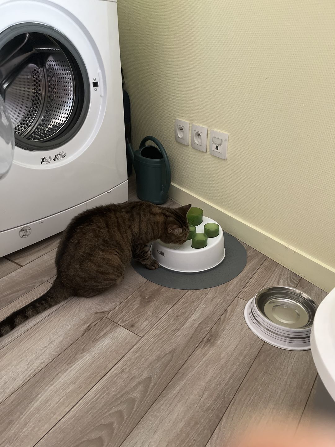 Customer photo review of Croquettes riches en poissons blancs frais (chat stérilisé)