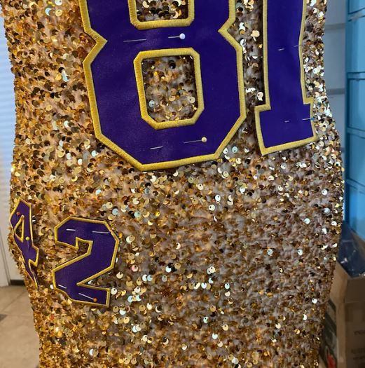 Customer photo review of Bright Gold Sequin on Velvet