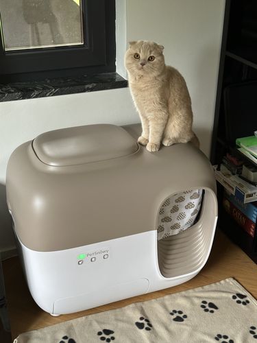 Customer photo review of Self-Cleaning Litter Box