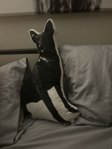 Customer photo review of Create A Custom Anything Pillow