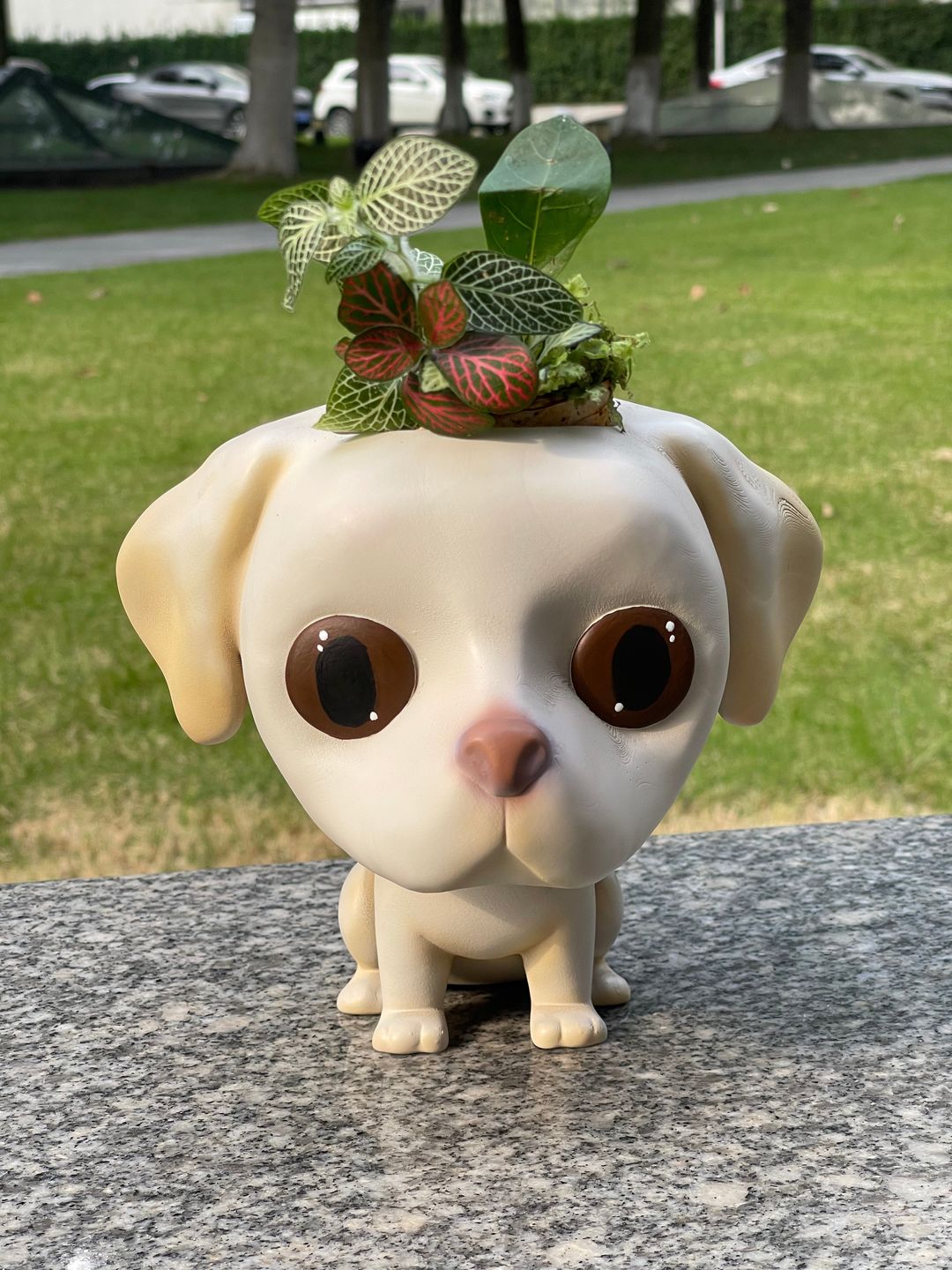 Customer photo review of Manual Printed Custom Pet Plant Pot