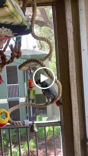 Customer video review of Sisal Rope Boings
