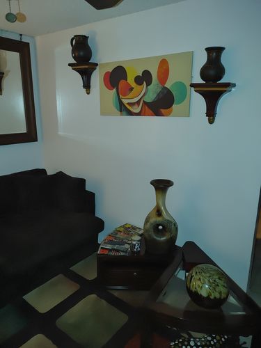 Customer photo review of Abstract Goofy