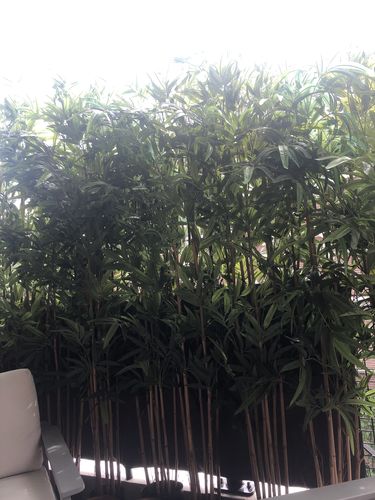 Customer photo review of Bamboe Kunstplant 210cm