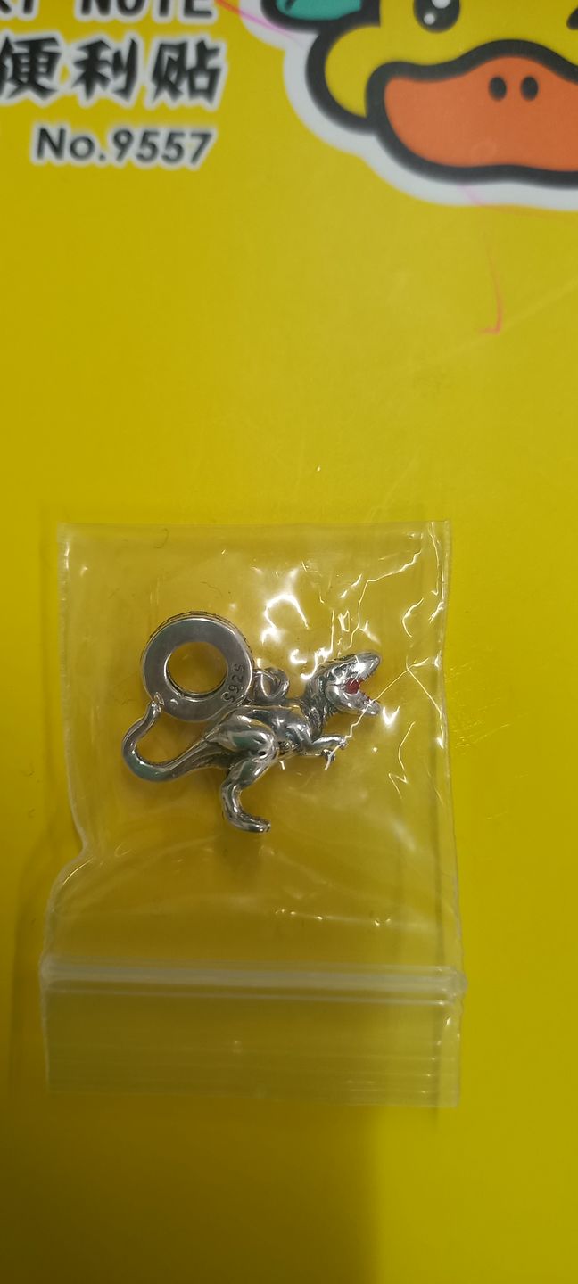 Customer photo review of Charm T-Rex