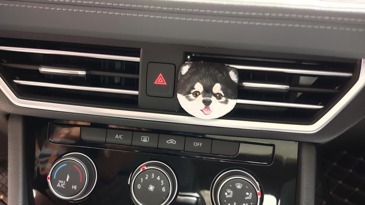 Customer photo review of Custom Car Air Freshener (Fridge Magnets)--Buy 2 Get 20% OFF