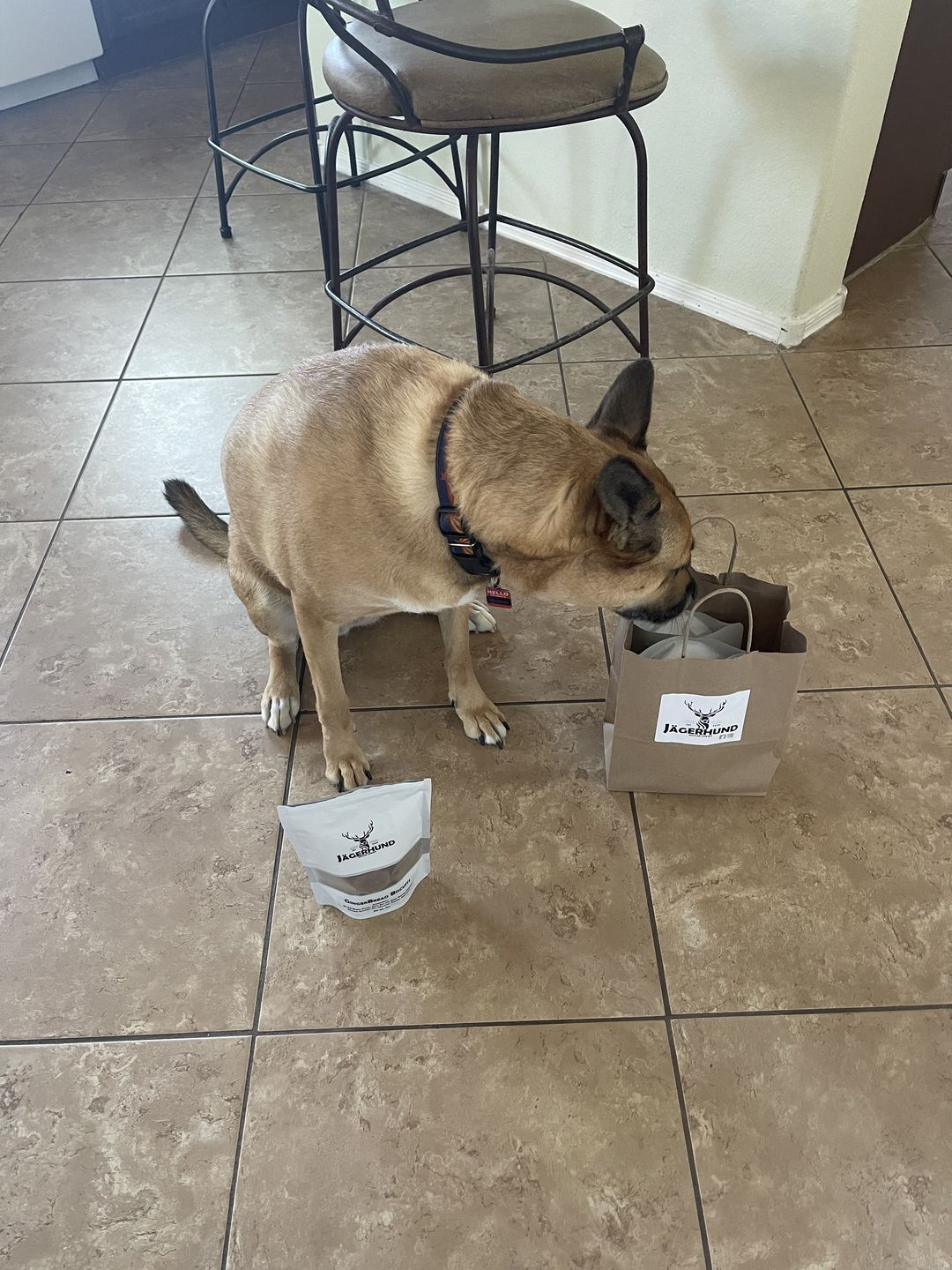 Customer photo review of Gingerbread Biscuits