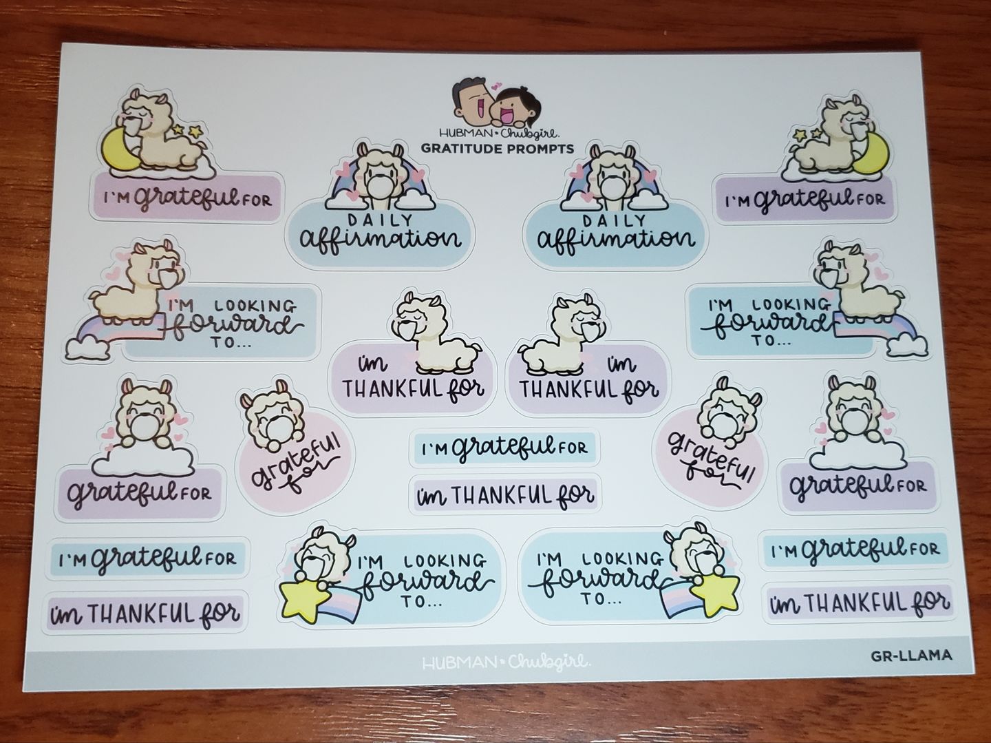 Customer photo review of Sticker Sheet - Gratitude Prompts