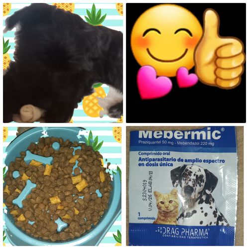 mebendazol mais barato