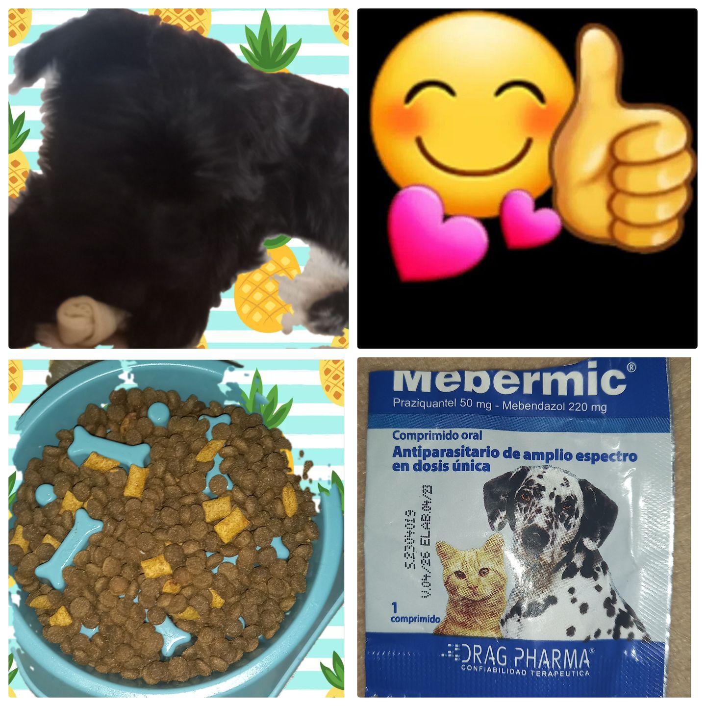 Customer photo review of MEBERMIC PERROS Y GATOS 1 COMPR.