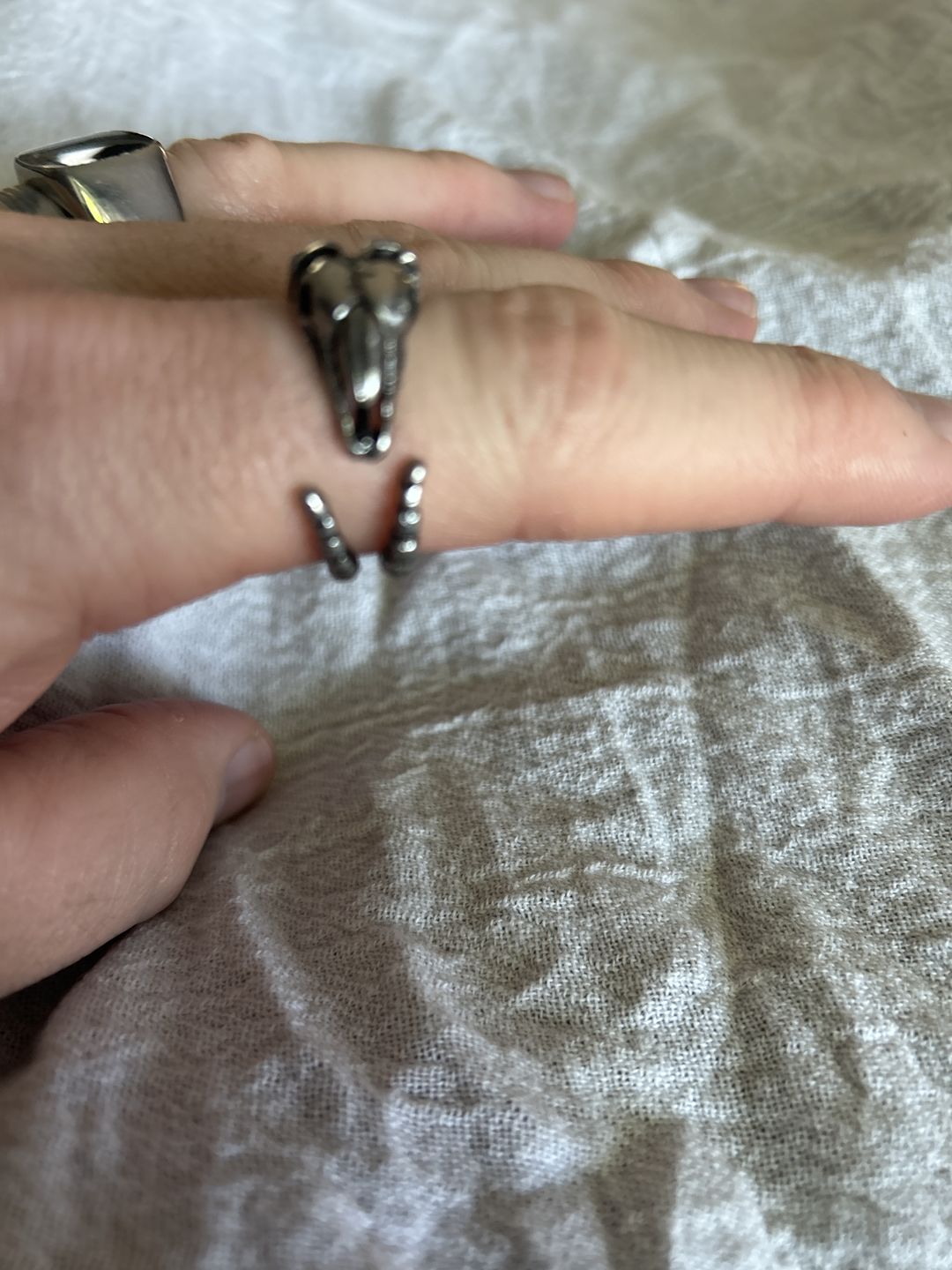 Customer photo review of HORNED.