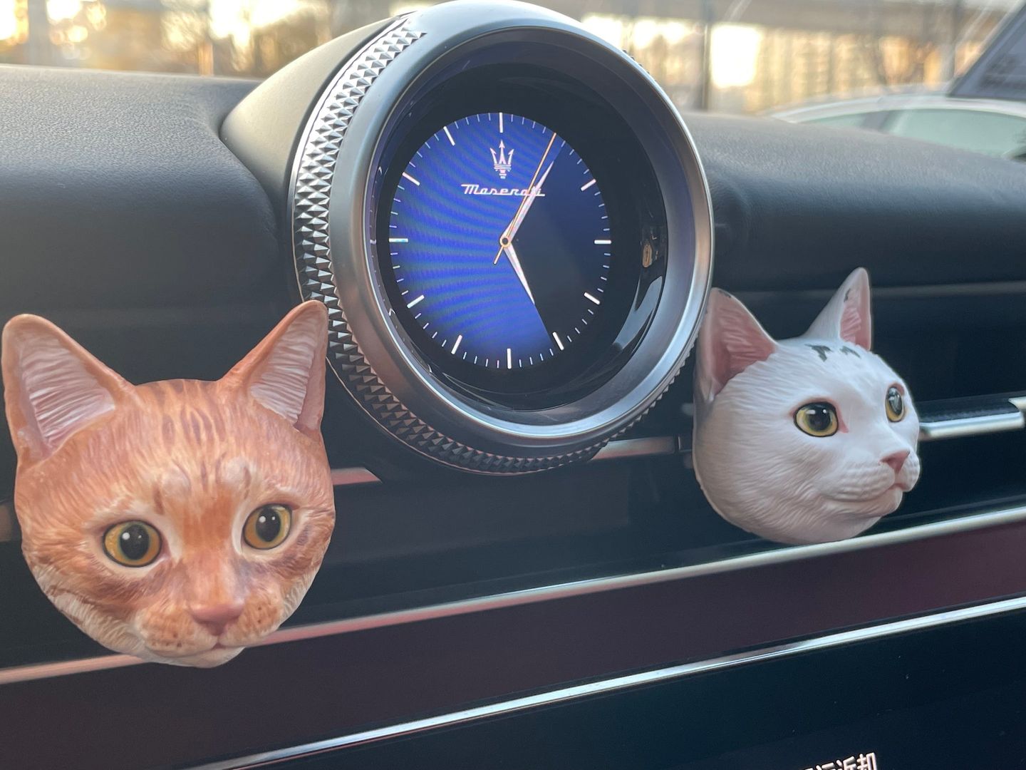 Customer photo review of Custom Car Air Freshener (Fridge Magnets)--Buy 2 Get 20% OFF