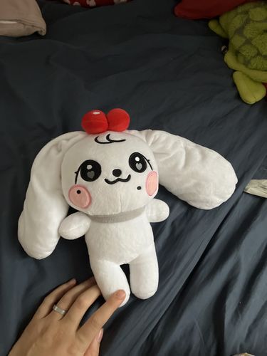 Customer photo review of IVE MINIVE Character Plush Doll