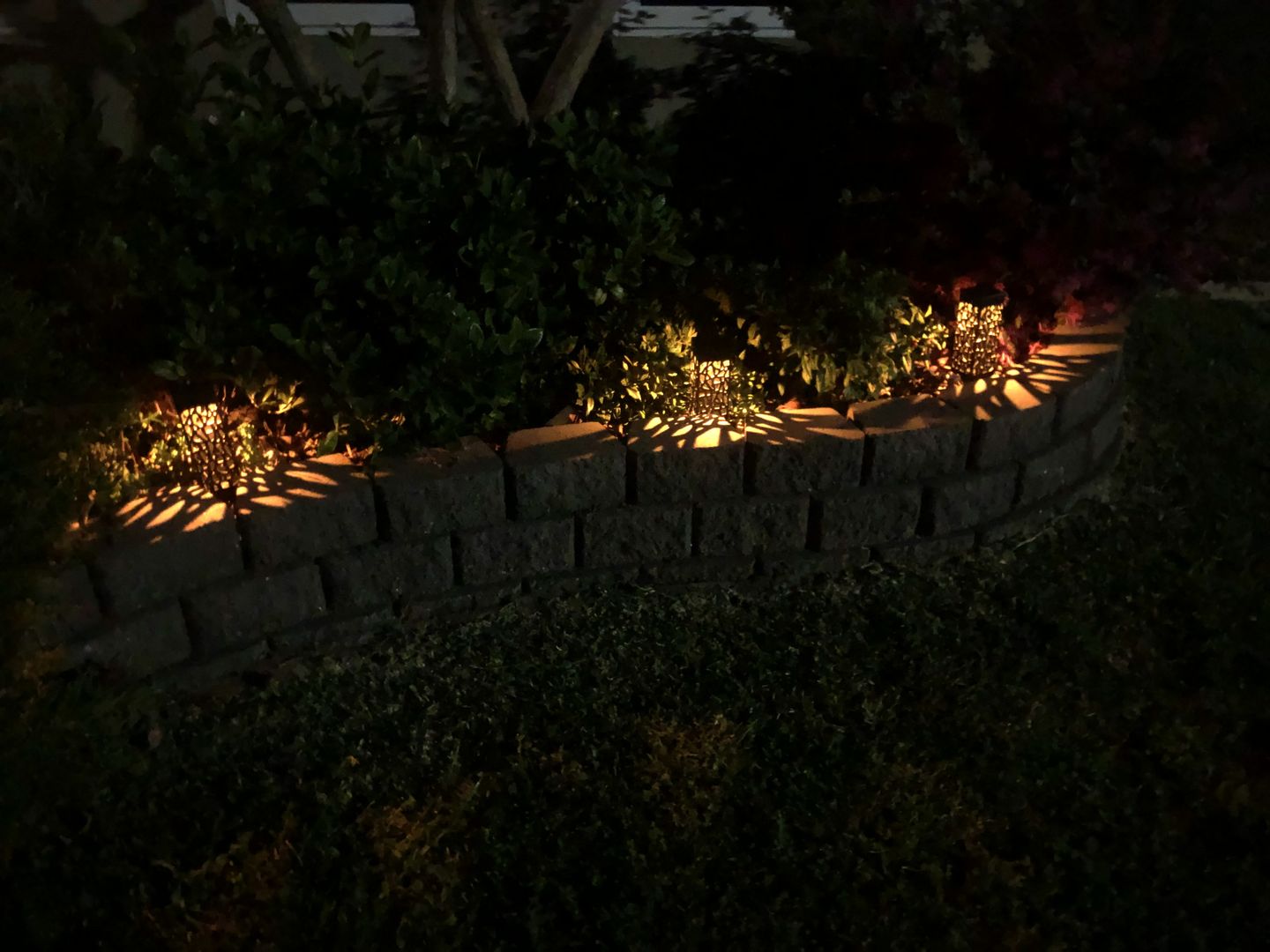 Customer photo review of SolaGarden™ Pattern Light Pack