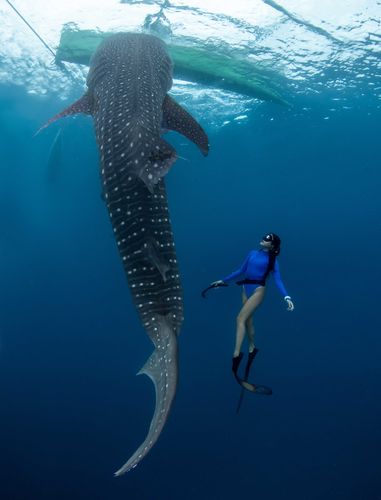 Customer photo review of Luna Long Sleeve Swimwear