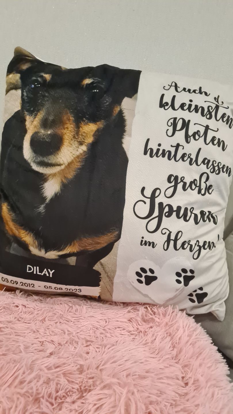 Customer photo review of Die kleinsten Pfoten - Individuelles Kissen