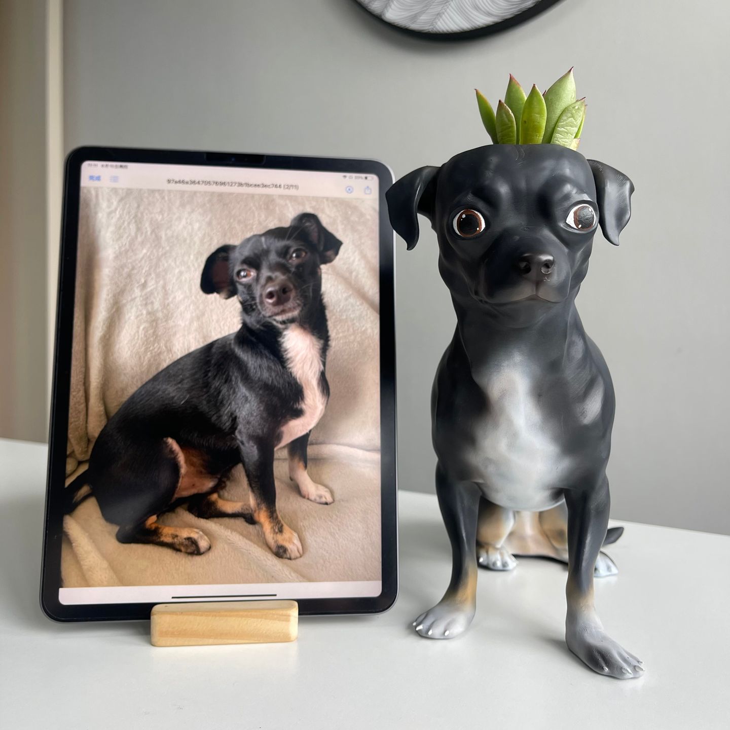 Customer photo review of Manual Printed Custom Pet Plant Pot