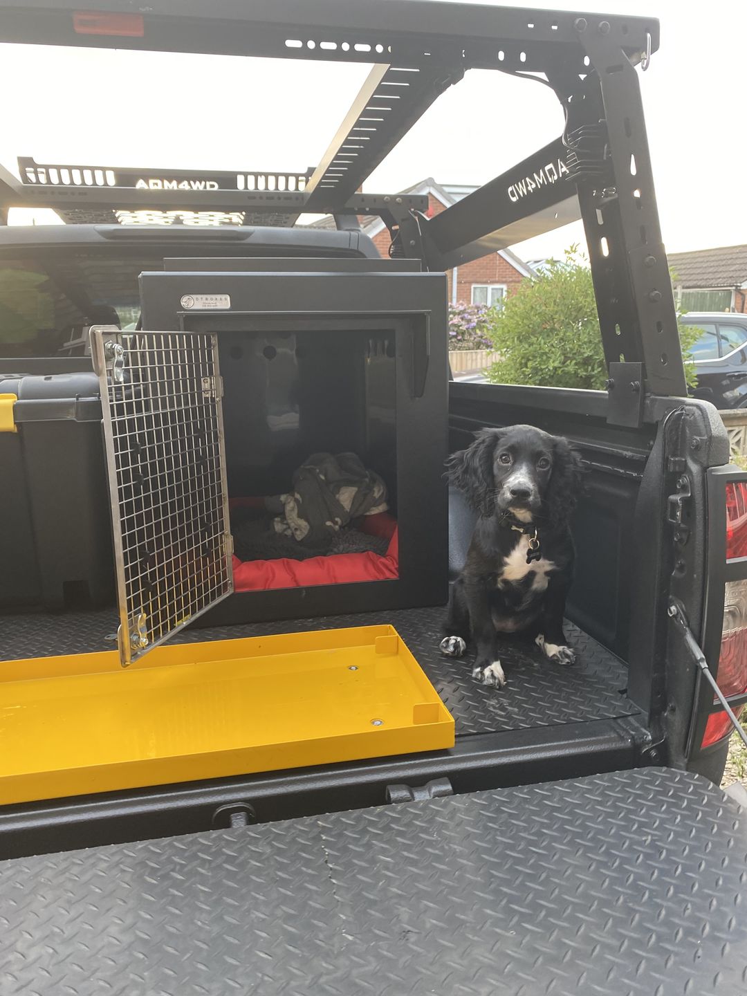 Customer photo review of DT Box Dog Car Travel Crate - The DT 600