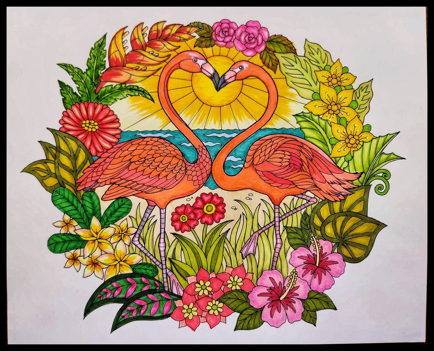 Customer photo review of Ohuhu Oahu E195 / E13 Individual Marker, Fine & Chisel