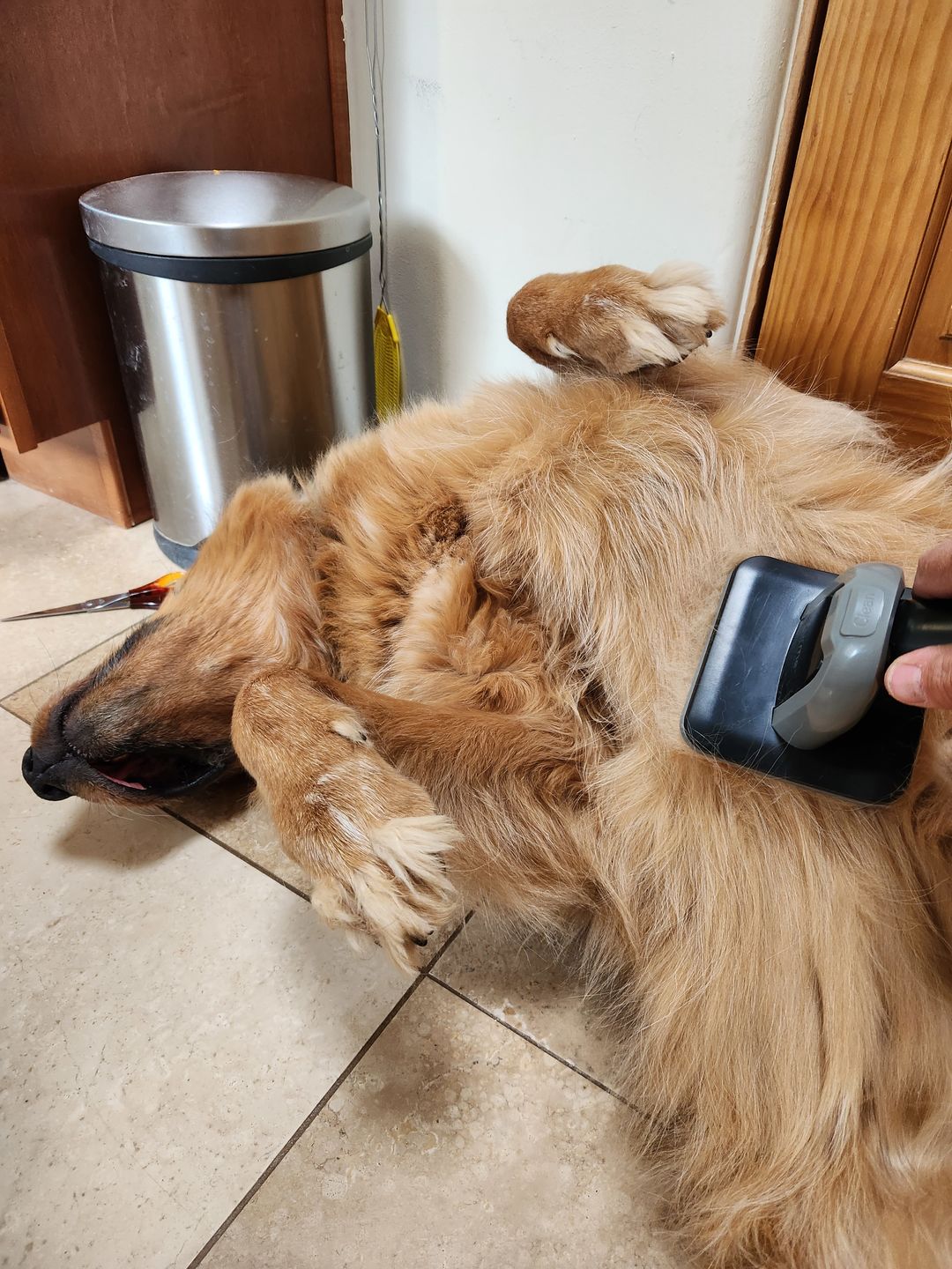 Customer photo review of furMe Grooming Vacuum Filter Replacement Pack