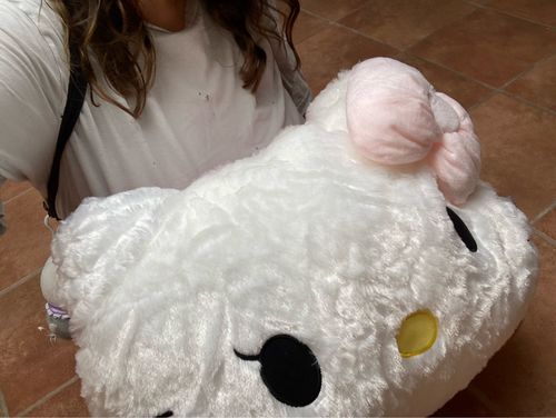 Customer photo review of Sanrio Hello Kitty Cushion & Blanket