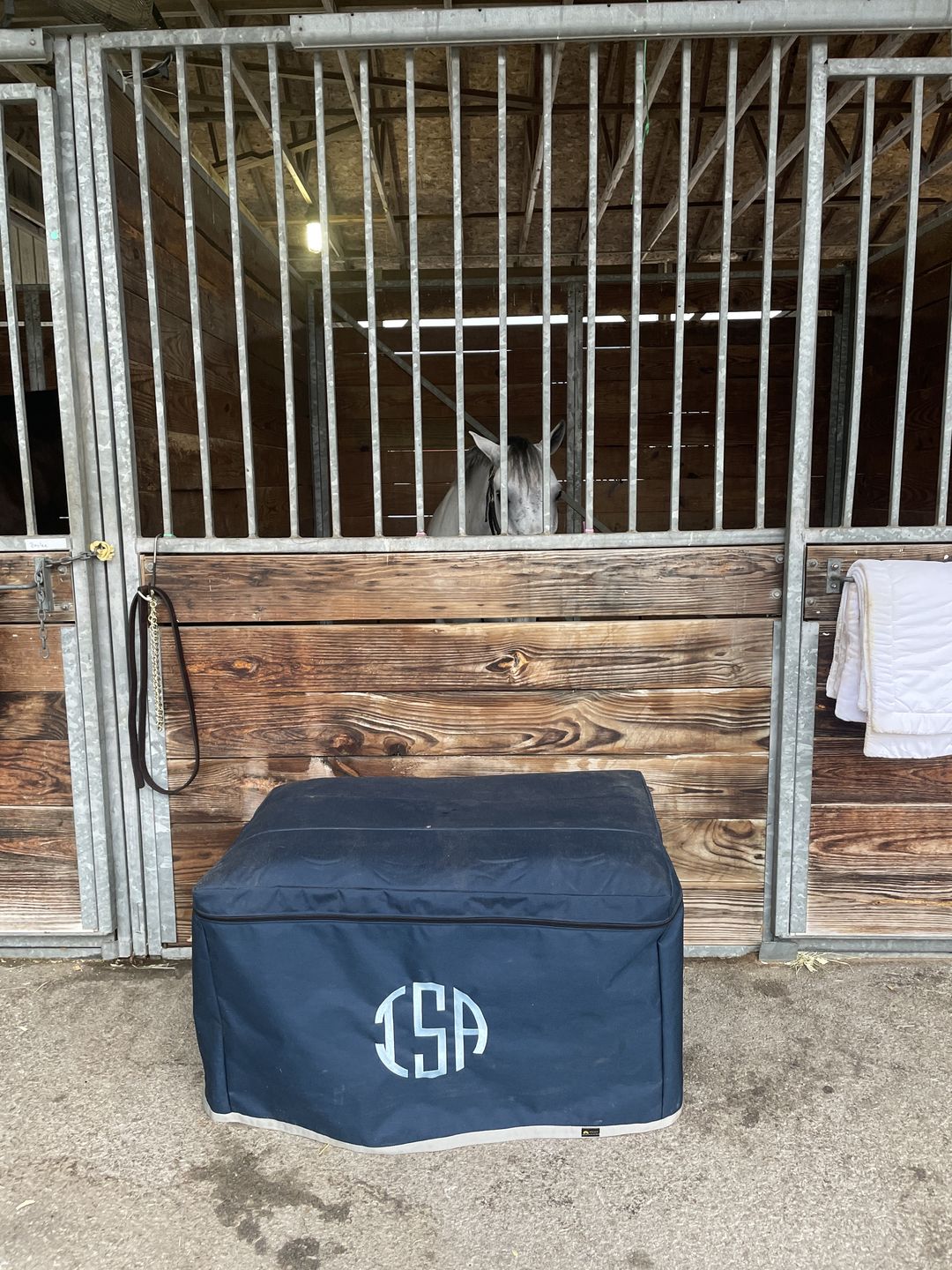 Customer photo review of Custom Tack Trunk Cover- For any Standard Size Trunk