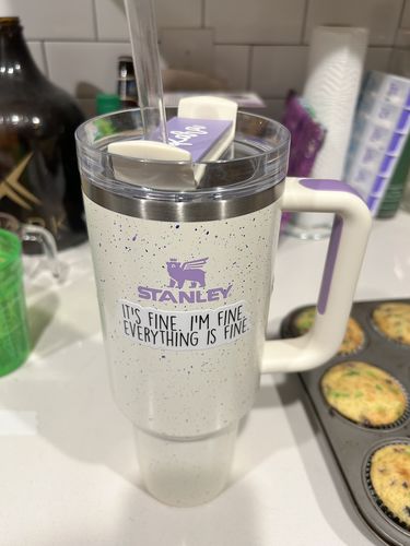 Customer photo review of It's Fine, I'm Fine, Everything is Fine Sticker