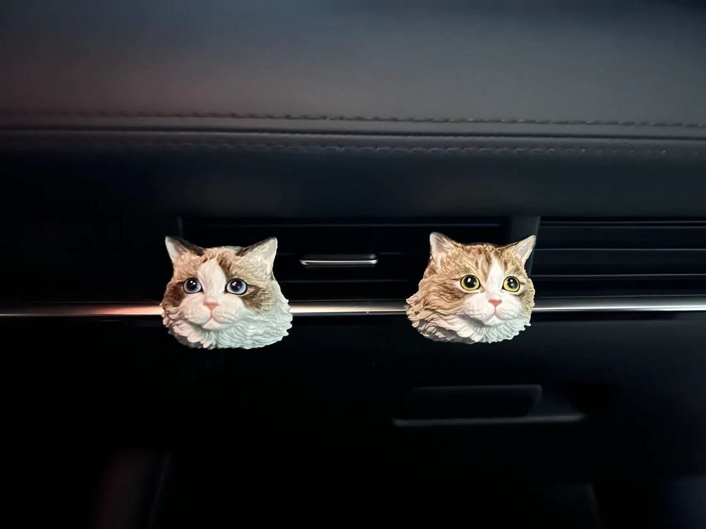 Customer photo review of Custom Car Air Freshener (Fridge Magnets)--Buy 2 Get 20% OFF