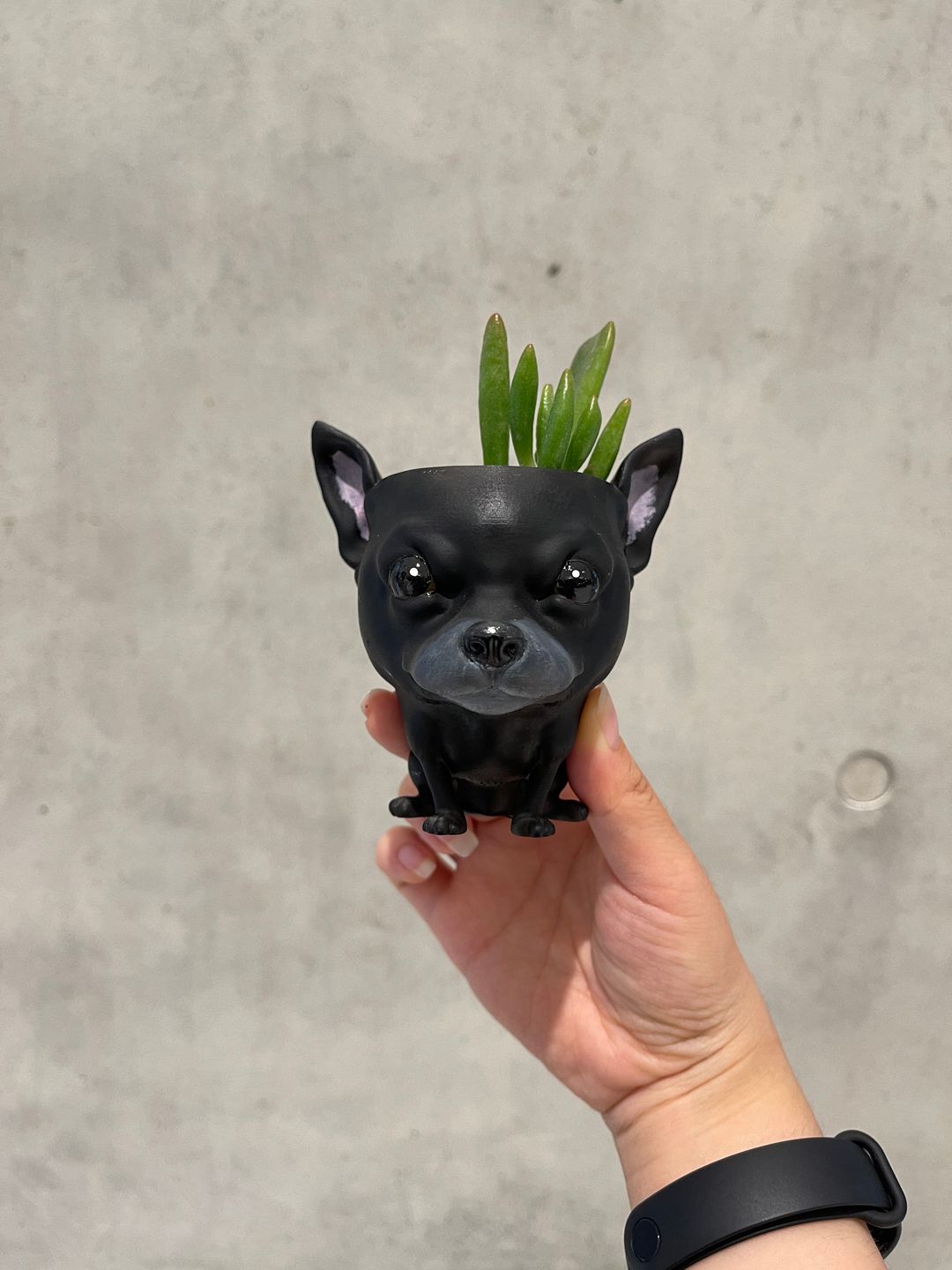 Customer photo review of Manual Printed Custom Pet Plant Pot