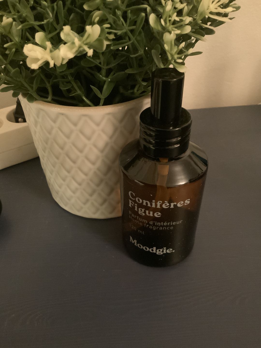Customer photo review of Conifères + Figue