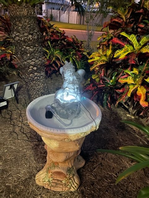 Customer photo review of Solar Fountain Pump & Panel w/ Inbuilt Battery - 250LPH