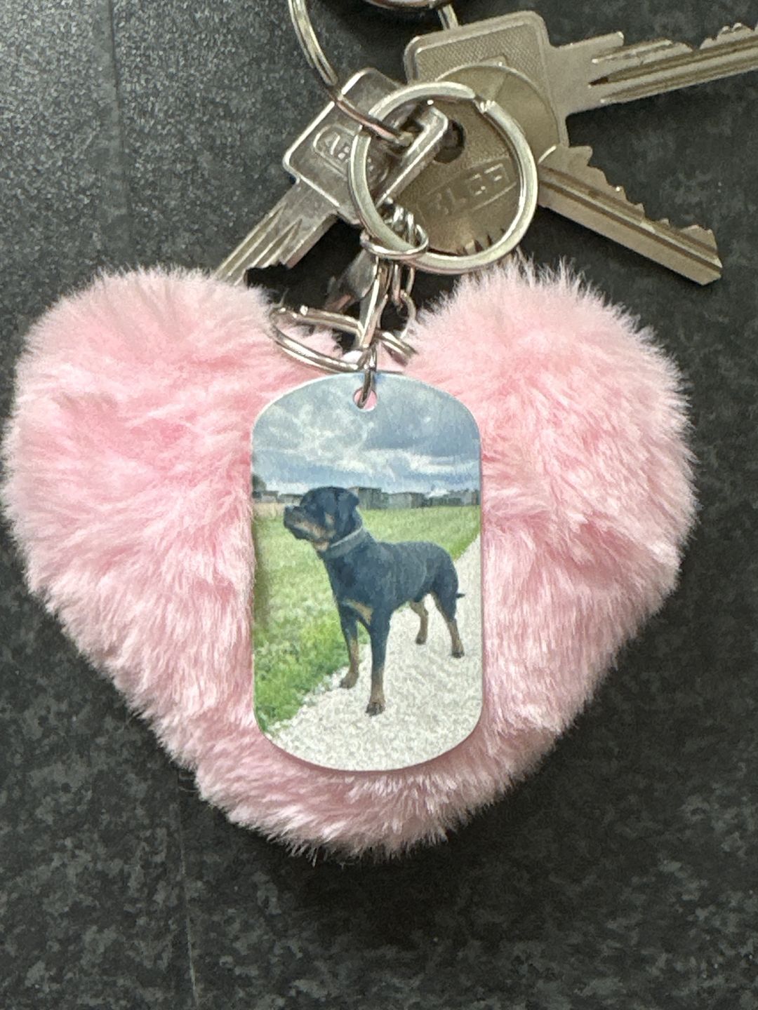 Customer photo review of Mein Zuhause - Individueller Dog Tag Schlüsselanhänger