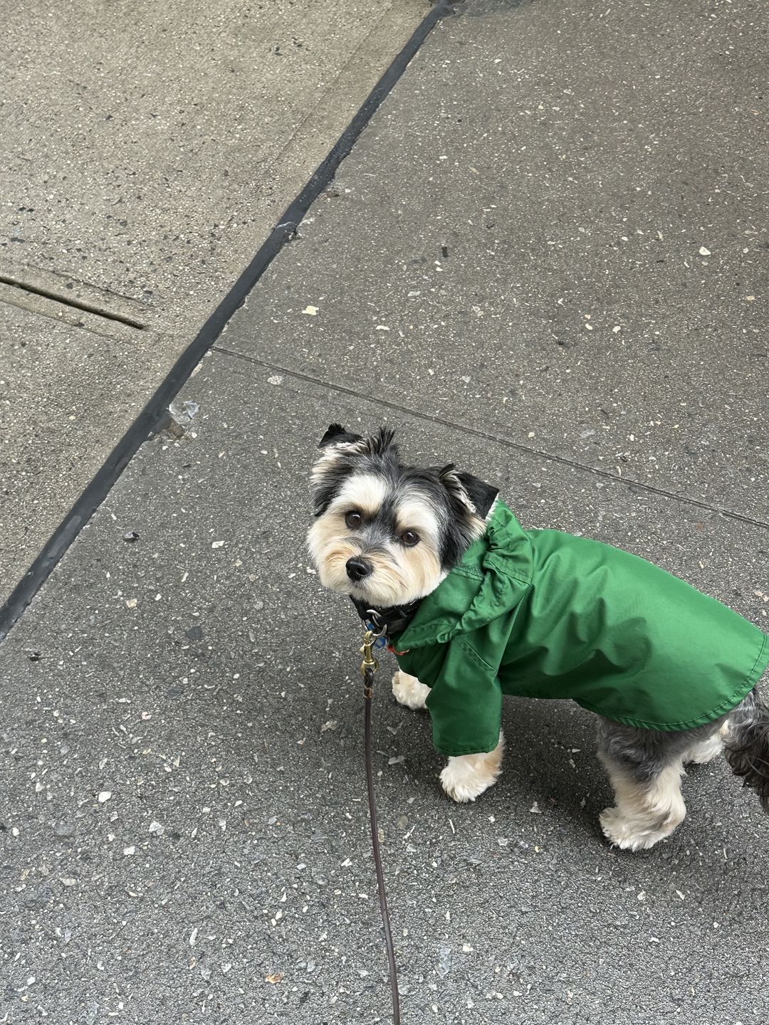 Customer photo review of Nylon Rainbreaker
