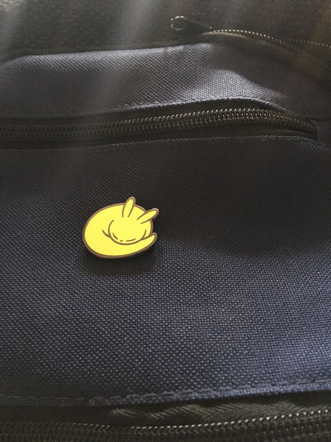 Customer photo review of Rain World - Slugcat Monk Pin