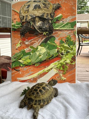 Customer photo review of Paint Your Own Photo