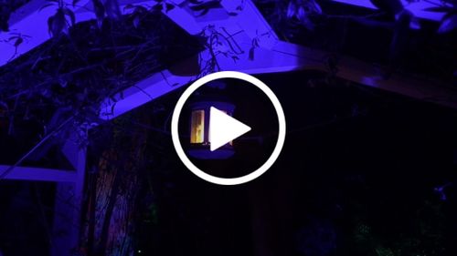 Customer video review of Flame Effect DC 12 Volt LED Fire Light Bulb Flaming Flicker E26 E27 Lamp