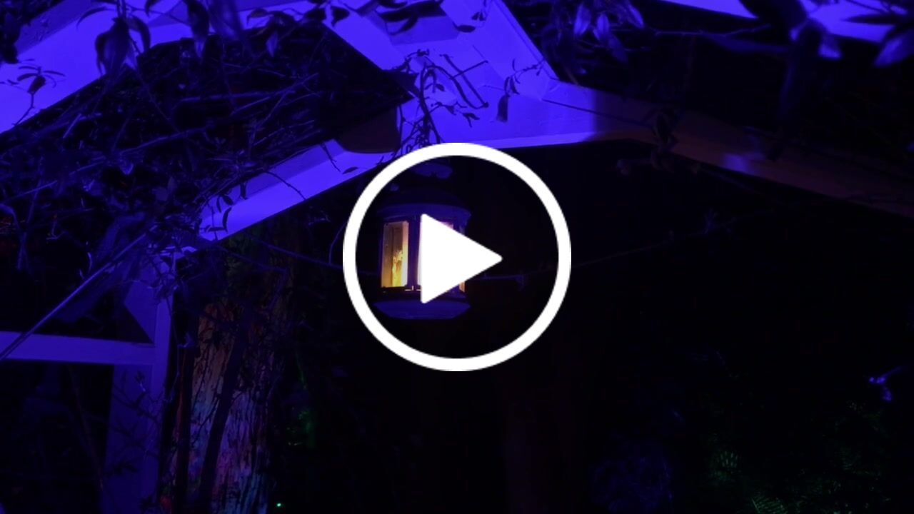 Customer video review of Flame Effect DC 12 Volt LED Fire Light Bulb Flaming Flicker E26 E27 Lamp