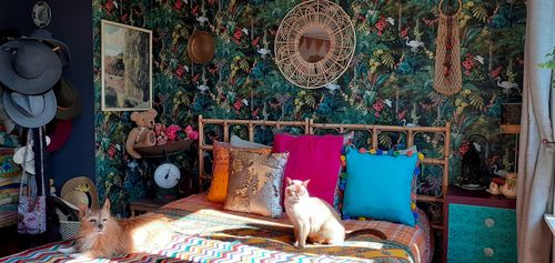 Customer photo review of Masoala Wallpaper - 4 colours