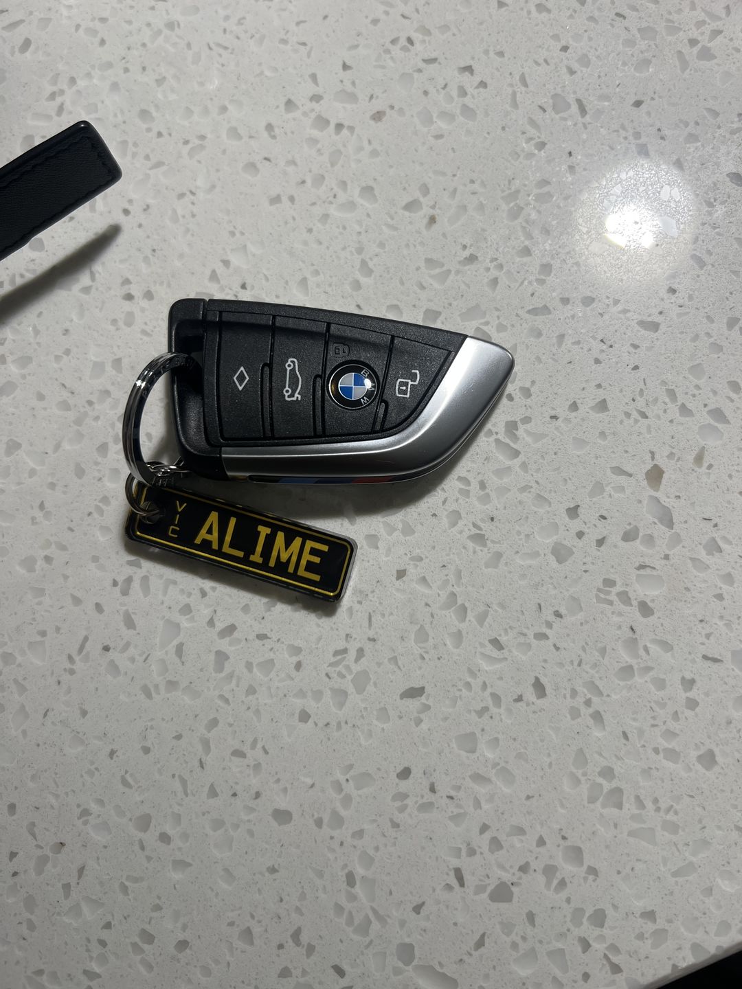 Customer photo review of VIC Classic Licence Plate Custom Keychain