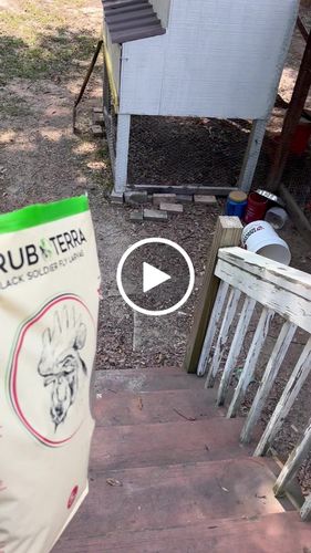Customer video review of GrubTerra Dried Larvae