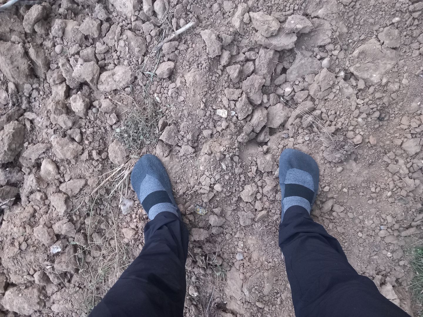 Customer photo review of Baresocks 2.0