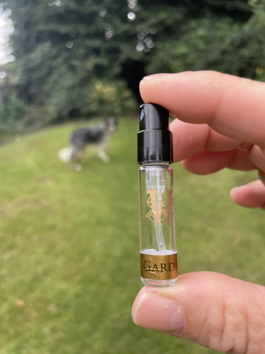 Customer photo review of Sun Garden