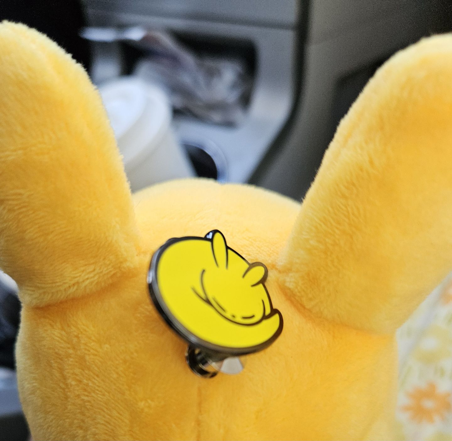Customer photo review of Rain World - Slugcat Monk Pin