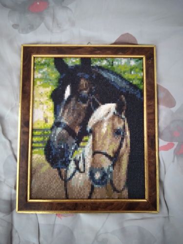 Customer photo review of Zwart En Bruin Paard