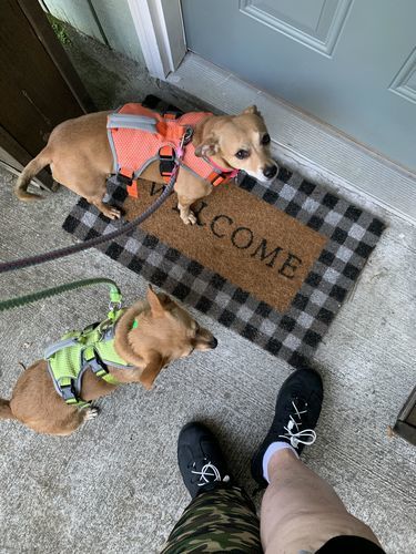 Customer photo review of Saturday Shoe